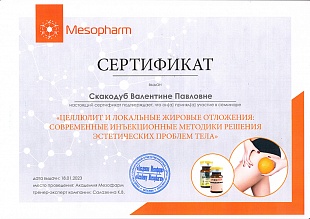 Диплом/сертификат Скакодуб Валентины Павловны