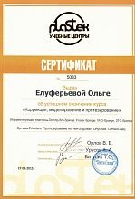 Диплом/сертификат Елуферьевой Ольги Владимировны